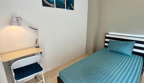 Standard Single Room with Mountain View
