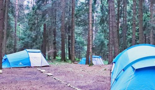 Tent