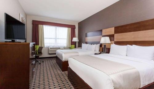 Premium Queen Room - Pet-Friendly/Non-Smoking