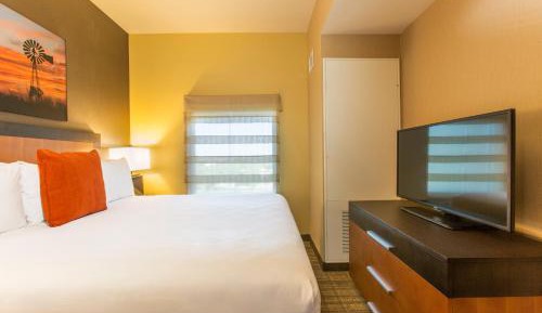 King Suite with Sofa Bed