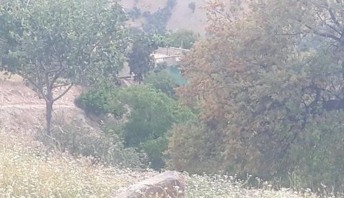 Double Room with Mountain View