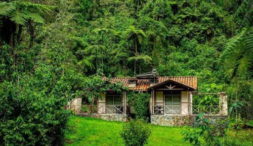 Bungalow (6 Adults)