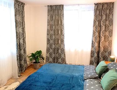 Deluxe Double or Twin Room with River View