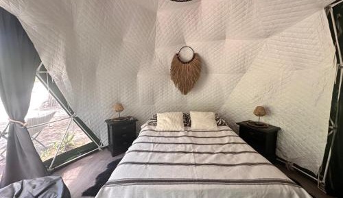 Dome 4