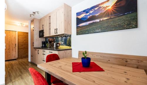 One-Bedroom Apartment with Terrace