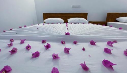 Standard Double Room with Fan