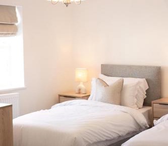 Deluxe Twin Pet-Friendly Room