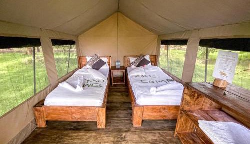 Tent