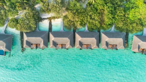 Lagoon Villa Ocean View King Bed