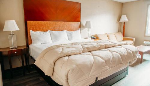 1 King Bed, Non-Smoking