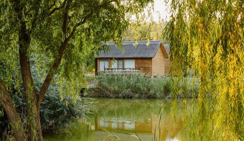 Bungalow - Water Front 