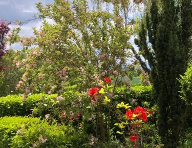 Double Room with Garden View 2