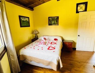 Large Double Room