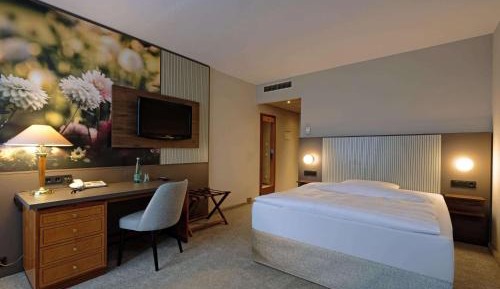 Standard Single Room with Queen Bed
