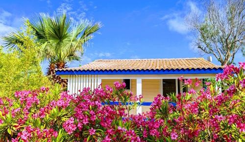 Bungalow (4 Adults)
