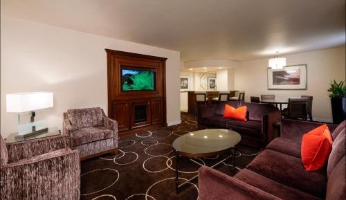 Suite - 1 King Bed