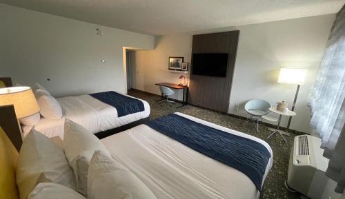 Two Queen Beds