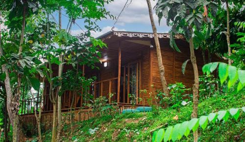 Bungalow with Garden View
