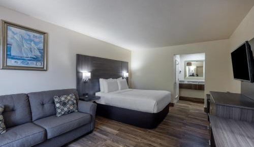 Deluxe Queen Room  - Ground Floor/Non-Smoking