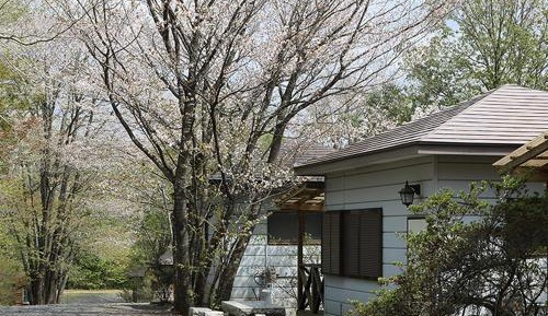 Bungalow