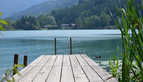 Double Room with Lake View with Balcony