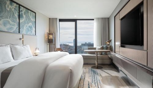 Privilege, Guest room, 1 King, City view