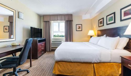 One Room King Suite - Non Smoking