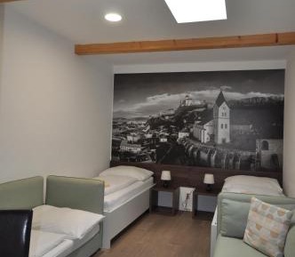 Economy Twin Room