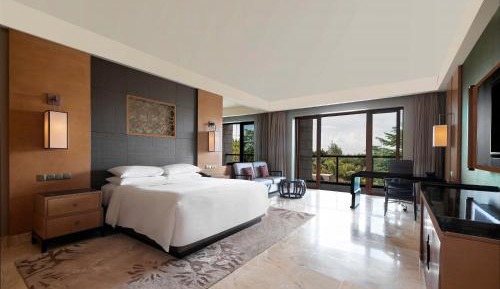 Deluxe Garden View Room King