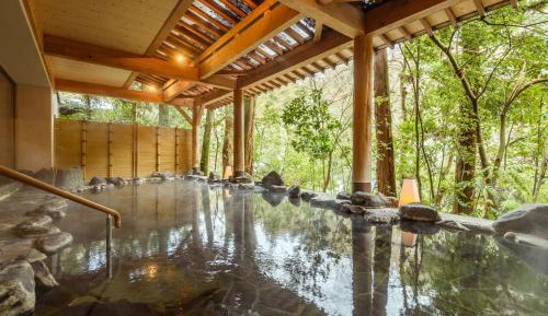 Standard Japanese-Style Room with Mountain View