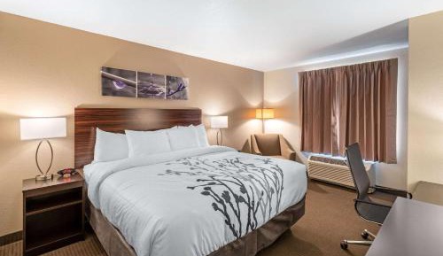 King Suite with Sofa Bed - Non-Smoking