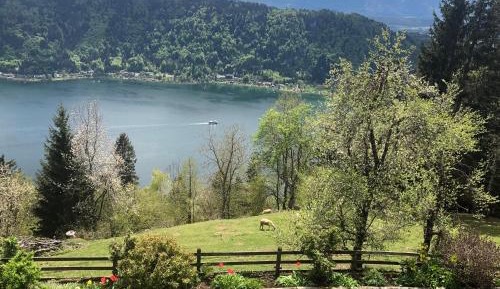Double Room with Lake View