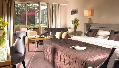 Executive Double or Twin Room
