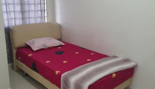 Large Single Room