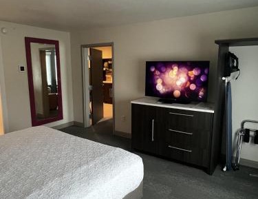 One-Bedroom King Suite - Non-Smoking