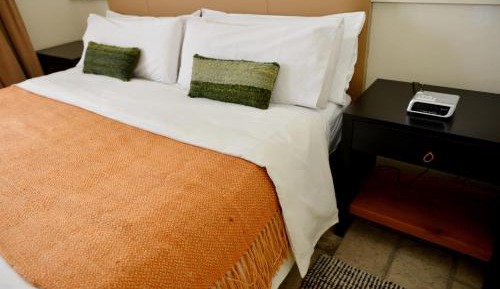 Superior Apartment (10 adults)