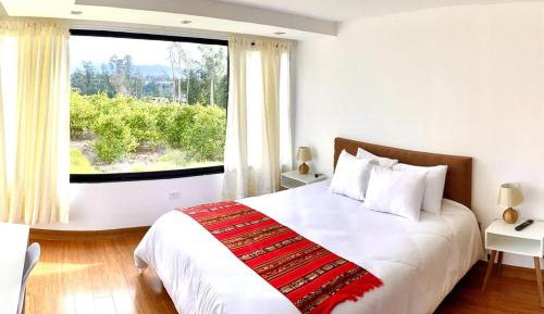 Superior Queen Room
