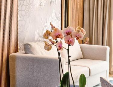 Two-Bedroom Suite