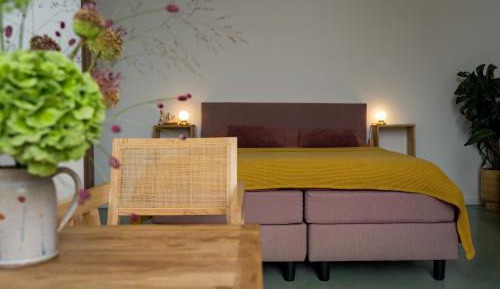 Double Room with Terrace