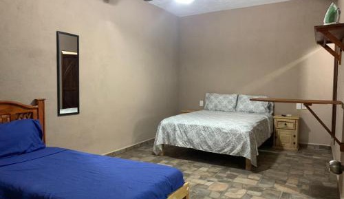Basic Triple Room