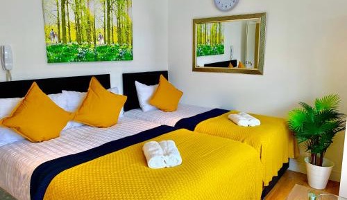 Studio with Sofa Bed