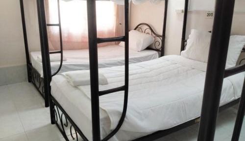 Bed in 6-Bed Dormitory Room