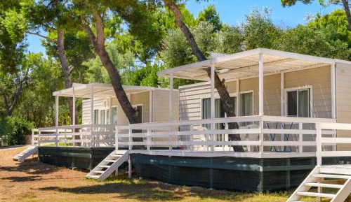 Deluxe Mobile Home