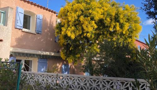 Holiday Home