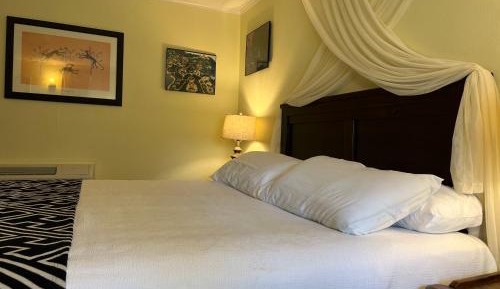 Deluxe King Suite