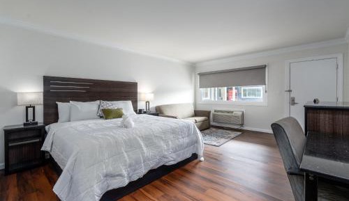 Deluxe King Suite