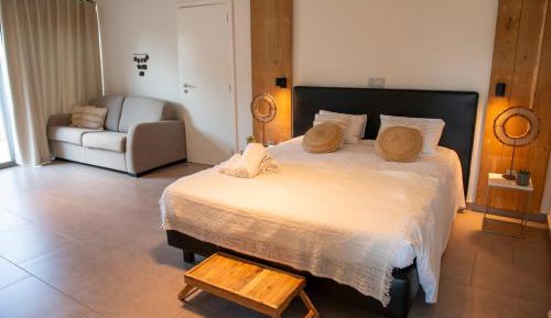 Suite with Terrace