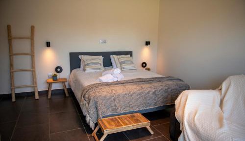 Suite with Terrace