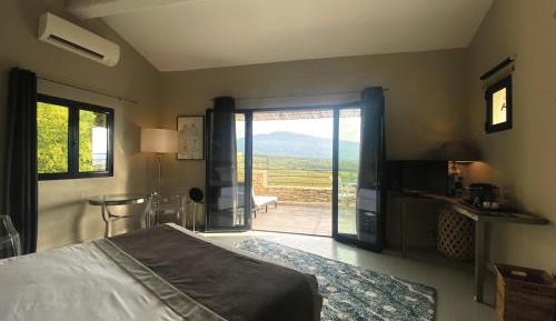 Suite with Terrace
