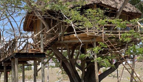 Tamarind Tree House